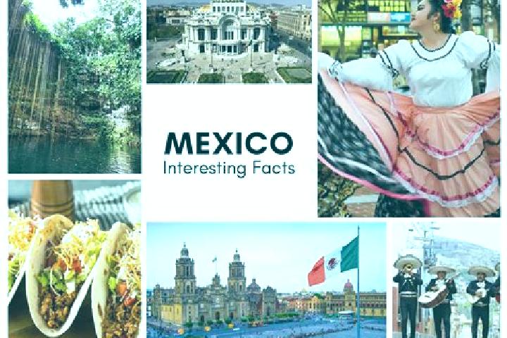 Quinn, 39 — Escort in Catmis, Mexico