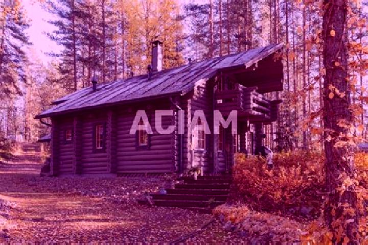 Quinn, 39 — Escort in Kuhmoinen, Finland