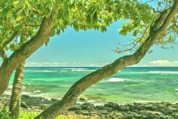 Quinn, 39 — Escort in Lawai, United States