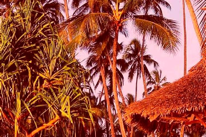 Quinn, 39 — Escort in Nkove, Tanzania