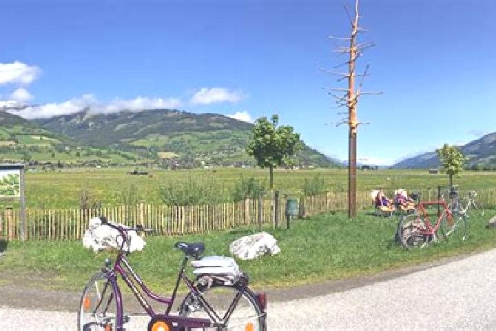 Riley, 20 — Escort in Piesendorf, Austria