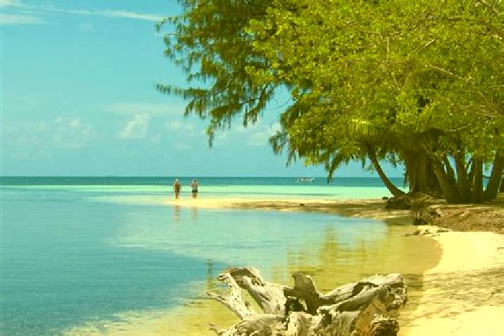 Riley, 20 — Escort in Sarawina, Belize