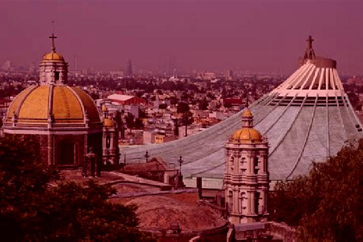 Riley, 20 — Escort in Venta de Guadalupe, Mexico