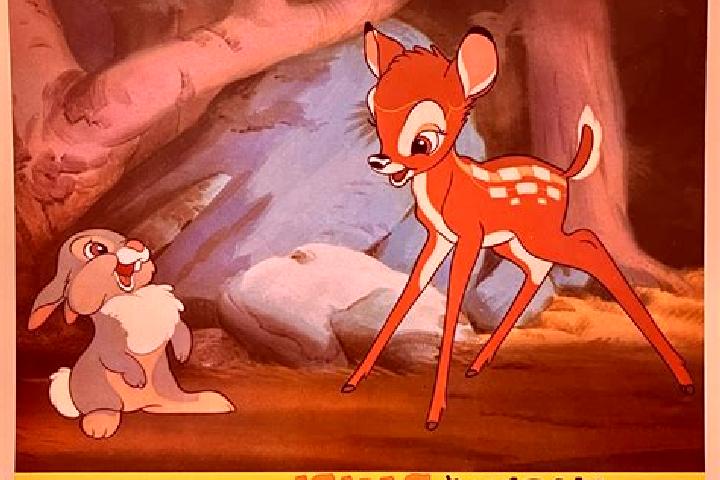 Riley, 21, a black brown-eyed caucasian companion based in Bambi. Offering Domination, Roleplay, Duos, Couples. Available for incall and outcall, day and eve...