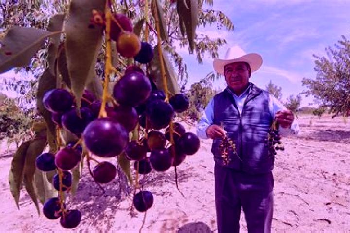 Riley, 21 — Escort in Capulines, Mexico