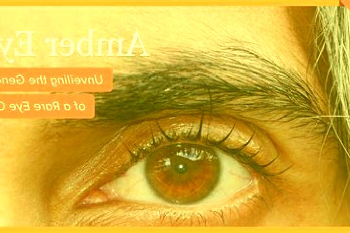 Riley, 22, a black amber-eyed mediterranean companion based in Segalstad bru. Offering 69, GFE, Travel Companion. Available for incall and outcall, day and e...