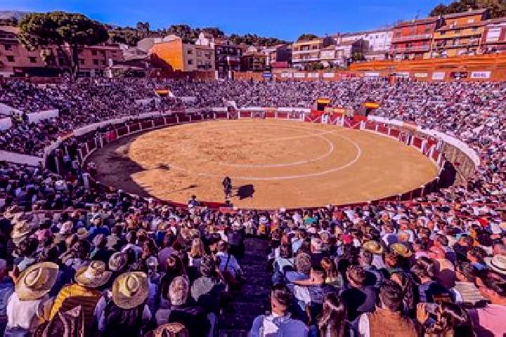 Riley, 22 — Escort in Arenas de San Pedro, Spain