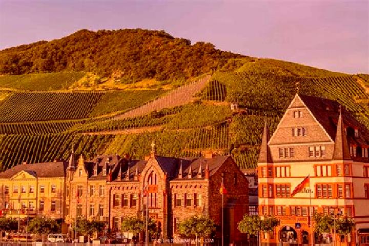 Riley, 22 — Escort in Bernkastel-Kues, Germany