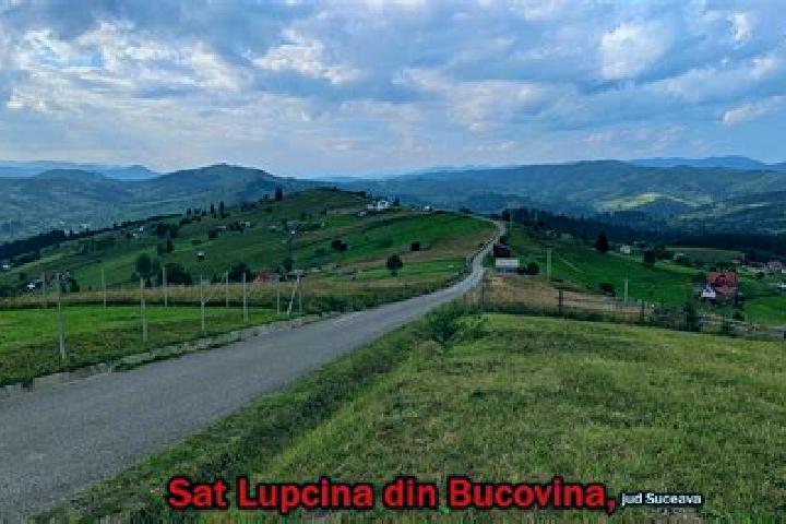 Riley, 22 — Escort in Lupcina, Romania
