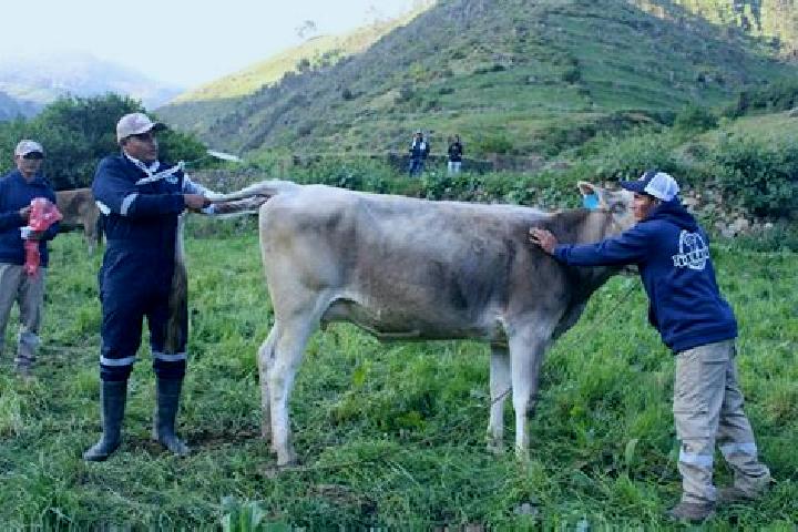 Riley, 22 — Escort in Ocros, Peru