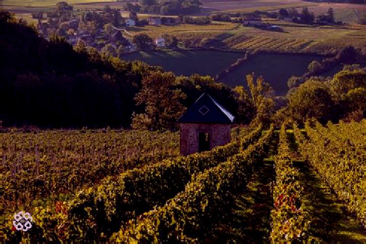 Riley, 22 — Escort in Vaux-en-Beaujolais, France