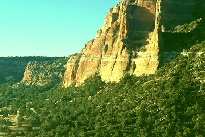 Riley, 22 — Escort in Zuni Pueblo, United States