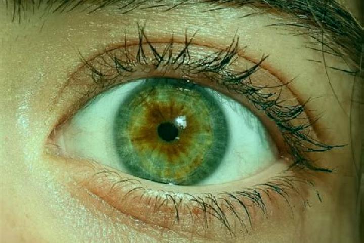 Riley, 23, a red hazel-eyed mediterranean companion based in Jamalpur. Offering Roleplay, Massage, Domination, A-Level. Available for incall and outcall, day...