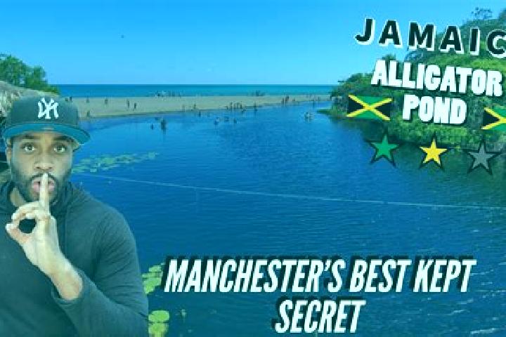 Riley, 23 — Escort in Alligator Pond, Jamaica