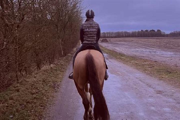 Riley, 23 — Escort in Hjallerup, Denmark