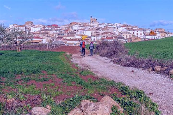 Riley, 23 — Escort in Hornillos del Camino, Spain