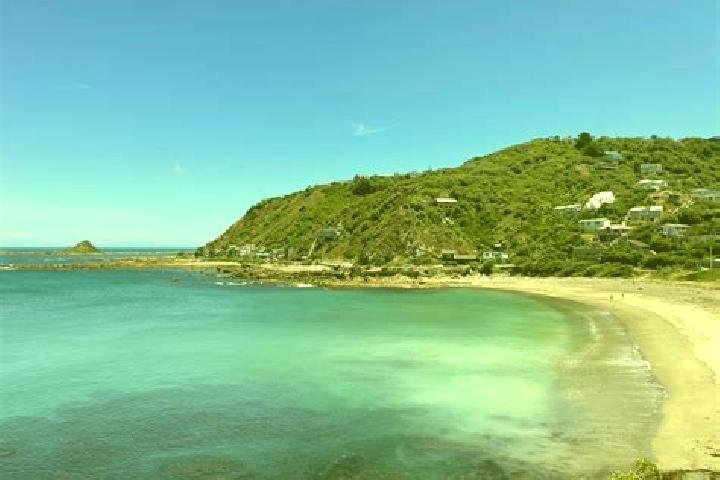 Riley, 23 — Escort in Houghton Bay, New Zealand