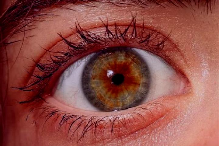 Riley, 24, a red hazel-eyed mediterranean companion based in Oberschlettenbach. Offering 69, Tantra. Available for incall and outcall, day and evening dates.