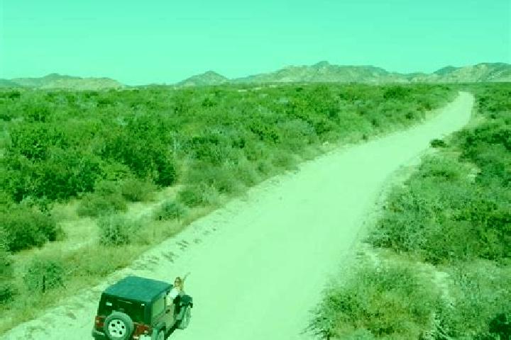 Riley, 24 — Escort in Baja California, Mexico
