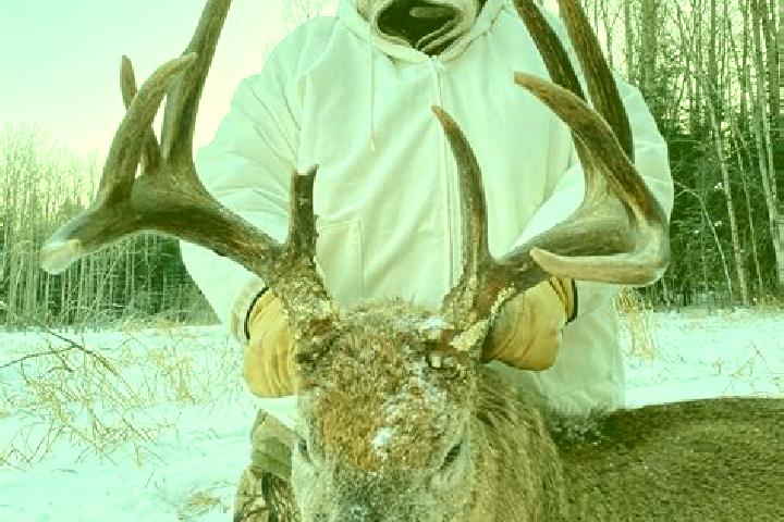 Riley, 24 — Escort in Deer Run, Canada