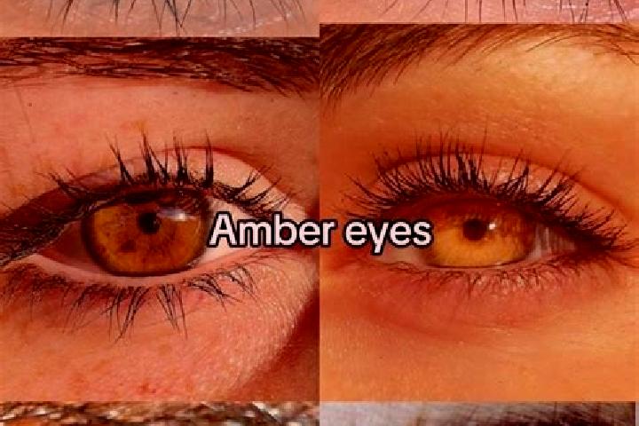 Riley, 25, a chestnut amber-eyed european companion based in Dodong-ri. Offering Girlfriend Experience, BDSM, Domination, Prostate Massage. Available for inc...