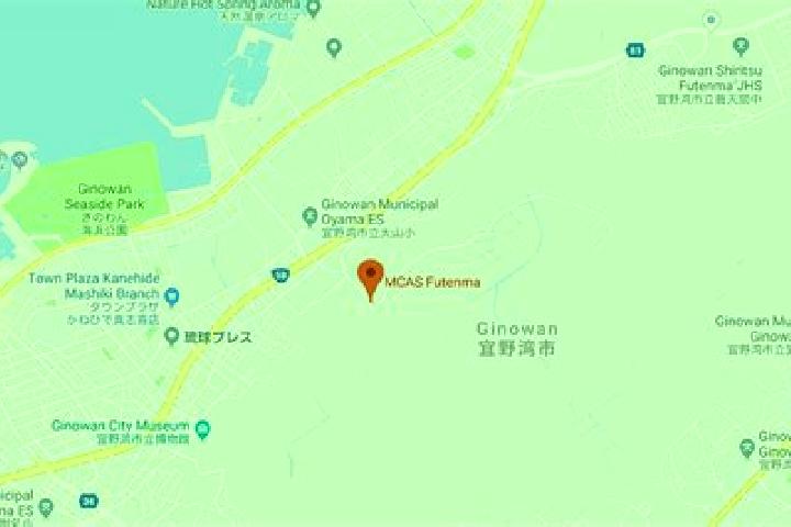 Riley, 25 — Escort in Ginowan, Japan
