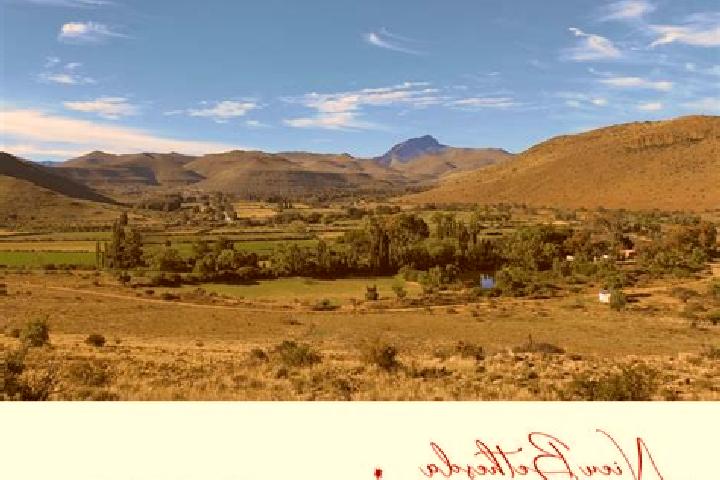 Riley, 25 — Escort in Nieu-Bethesda, South Africa