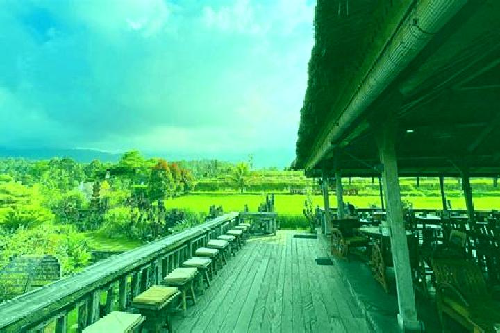 Riley, 25 — Escort in Penebel, Indonesia