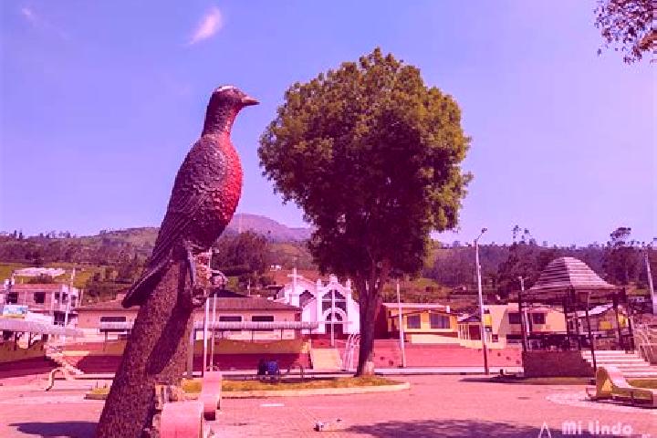 Riley, 25 — Escort in Quimiag, Ecuador