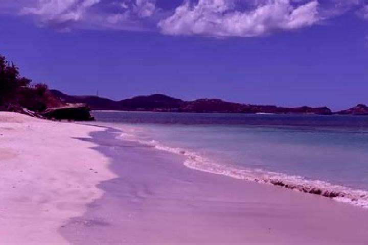 Riley, 25 — Escort in Urlings, Antigua and Barbuda