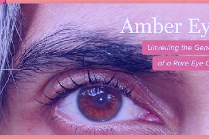 Riley, 26, a black amber-eyed caribbean companion based in Dinganen. Offering Party Girl, Tantra, Massage, Overnight, A-Level. Available for incall and outca...