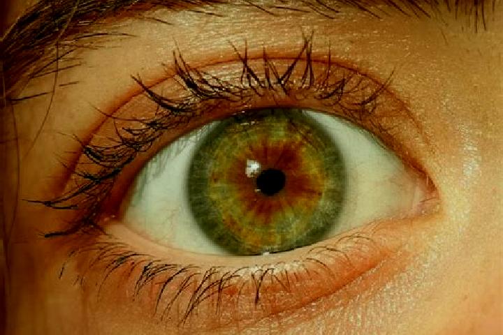 Riley, 26, a red hazel-eyed asian companion based in Tugu. Offering Striptease, Girlfriend Experience, Duos. Available for incall and outcall, overnight book...