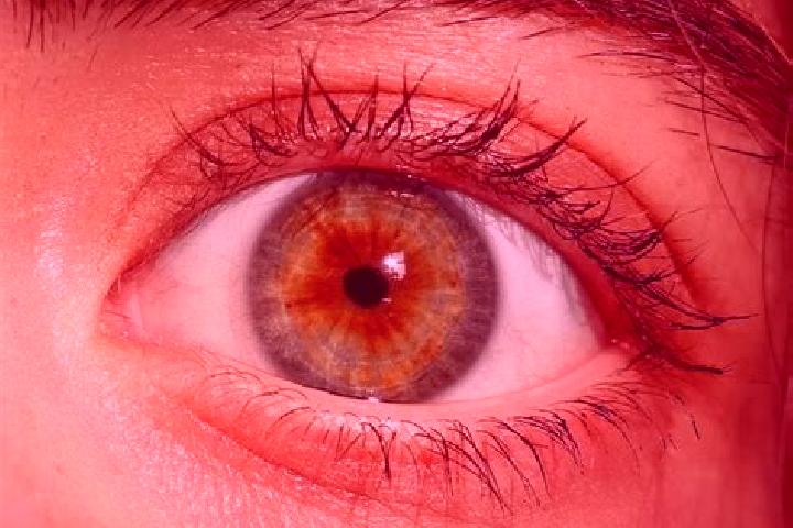 Riley, 26, a red hazel-eyed mediterranean companion based in Irkliiv. Offering Domination, OWO, Deep French Kissing. Available for incall and outcall, overni...