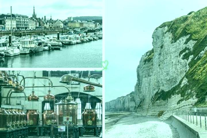 Riley, 26 — Escort in Fecamp, France