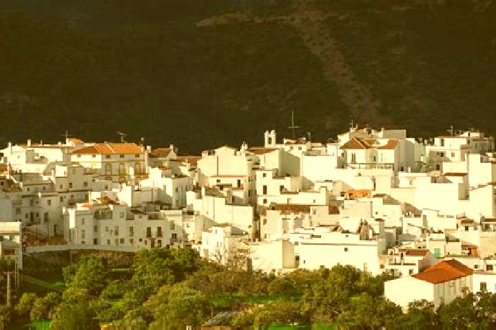 Riley, 26 — Escort in Istan, Spain