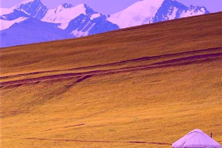 Riley, 26 — Escort in Mamlyutka, Kazakhstan