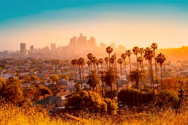 Riley, 27 — Escort in Los Angeles, United States