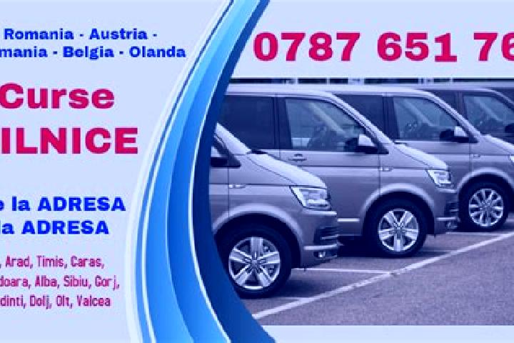Riley, 27 — Escort in Sfarcea, Romania
