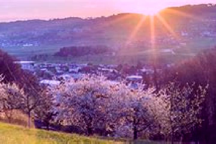 Riley, 27 — Escort in Winikon, Switzerland