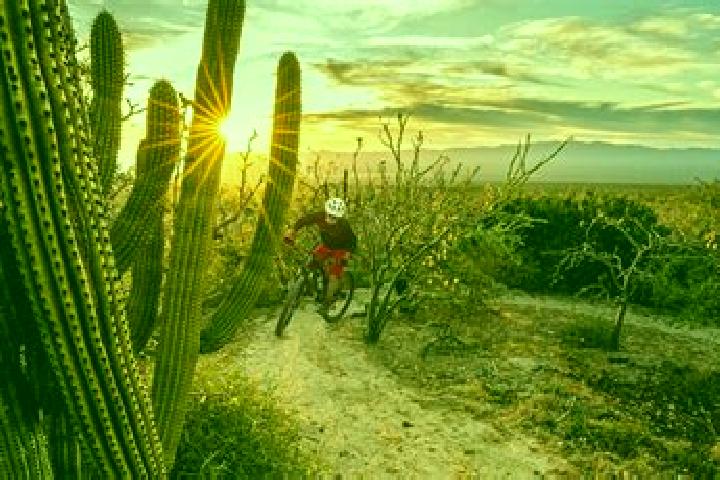 Riley, 28 — Escort in Jesus Carranza (Rancho de Jesus), Mexico