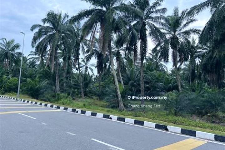 Riley, 28 — Escort in Kampung Olak Lempit, Malaysia