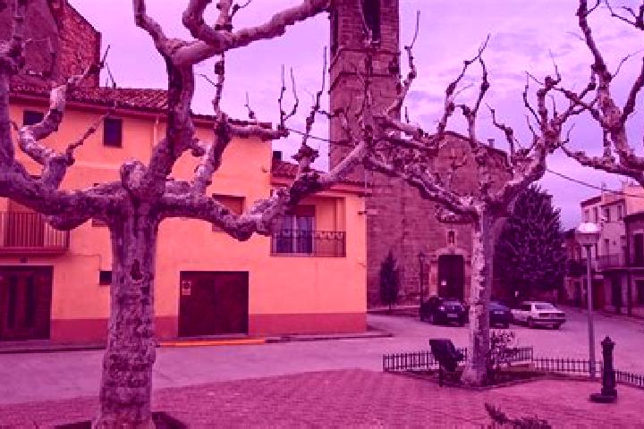 Riley, 28 — Escort in La Fuliola, Spain