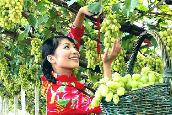 Riley, 28 — Escort in Xuanhua, China