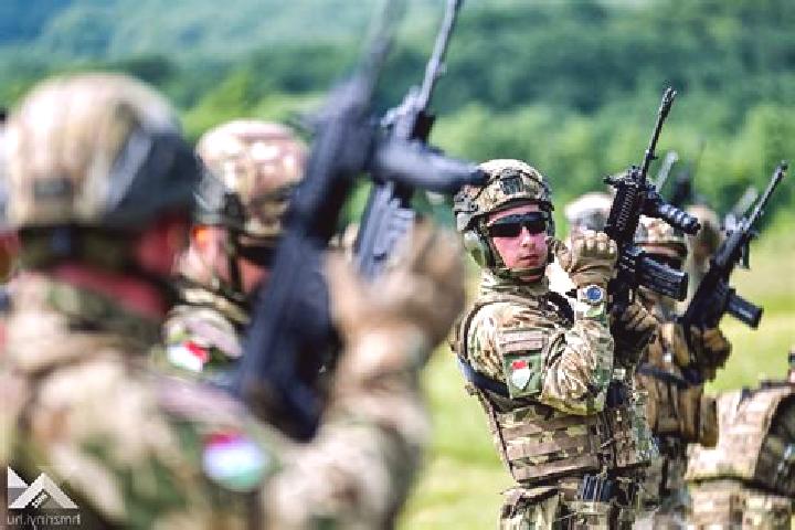 Riley, 28 — Escort in Zeljezno Polje, Bosnia and Herzegovina