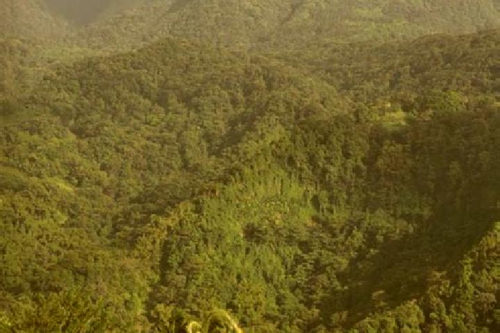 Riley, 29 — Escort in L Ajoupa-Bouillon, Martinique