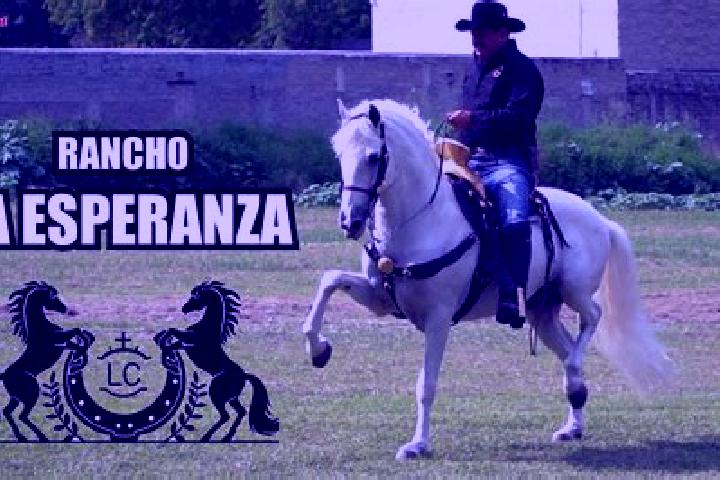 Riley, 29 — Escort in Las Esperanzas (El Ranchito), Mexico