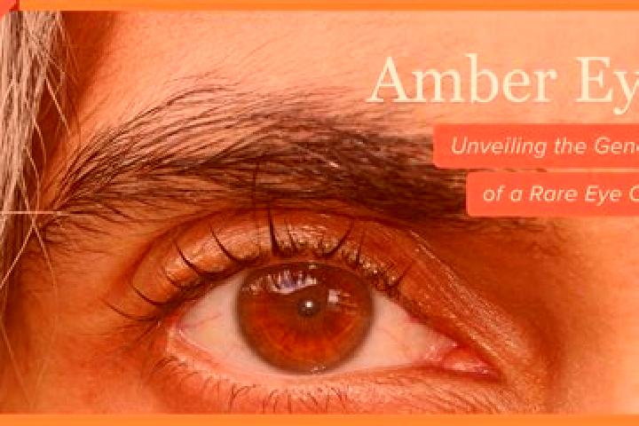 Riley, 30, a red amber-eyed slavic companion based in Denizyaka. Offering BDSM, Couples, A-Level, Overnight, Roleplay. Available for incall and outcall, day ...