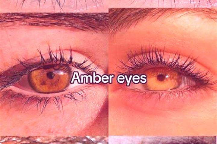 Riley, 31, a brunette amber-eyed caucasian companion based in Ecrosnes. Offering A-Level, GFE, CIM. Available for incall and outcall, overnight bookings avai...