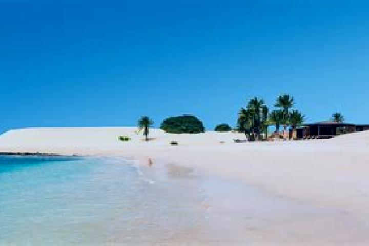 Riley, 31 — Escort in Boa Vista, Brazil
