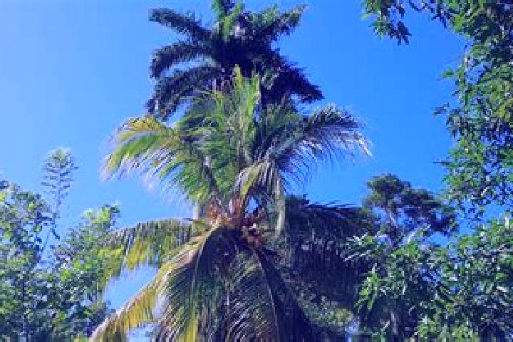 Riley, 31 — Escort in Buey Arriba, Cuba